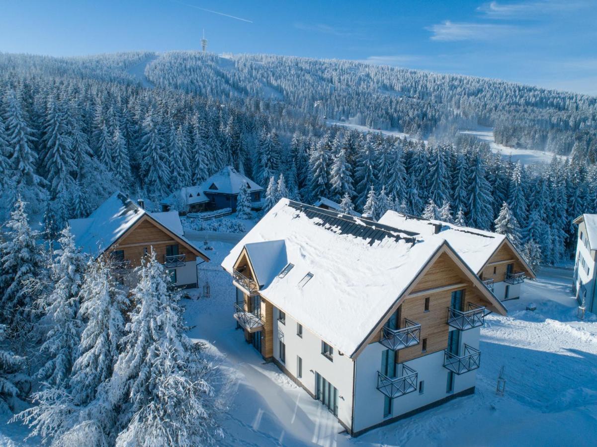 Ski Chalet Klinovec Loucna pod Klinovcem Ngoại thất bức ảnh