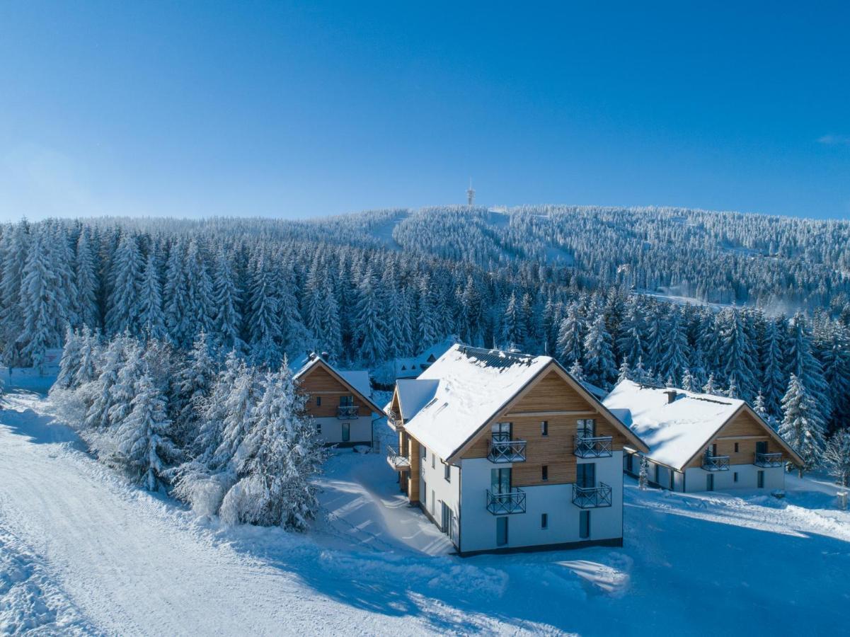 Ski Chalet Klinovec Loucna pod Klinovcem Ngoại thất bức ảnh