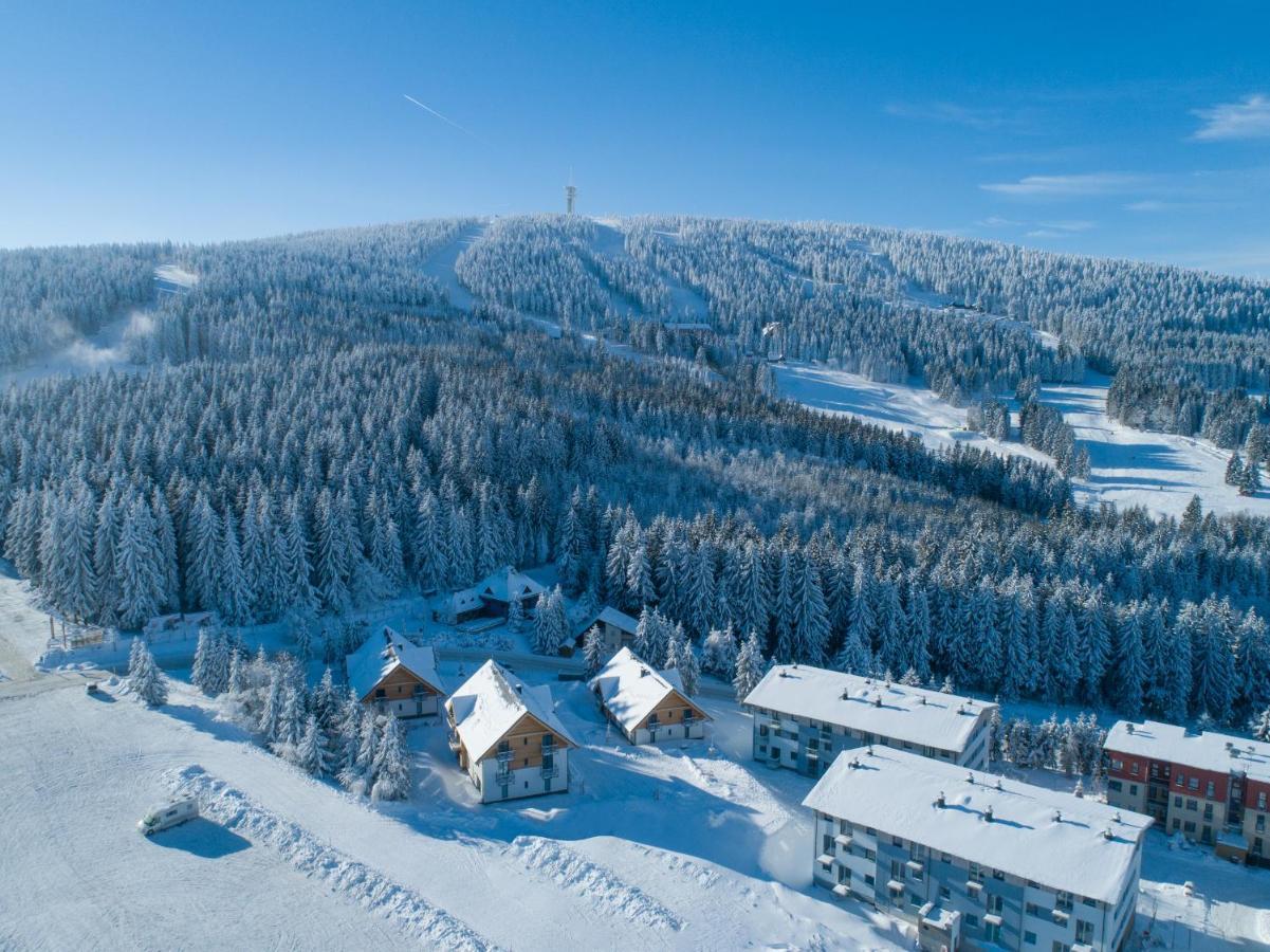 Ski Chalet Klinovec Loucna pod Klinovcem Ngoại thất bức ảnh