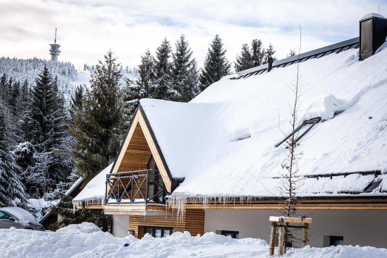 Ski Chalet Klinovec Loucna pod Klinovcem Ngoại thất bức ảnh
