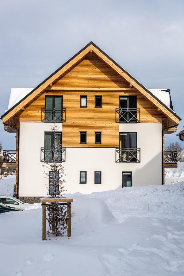 Ski Chalet Klinovec Loucna pod Klinovcem Ngoại thất bức ảnh