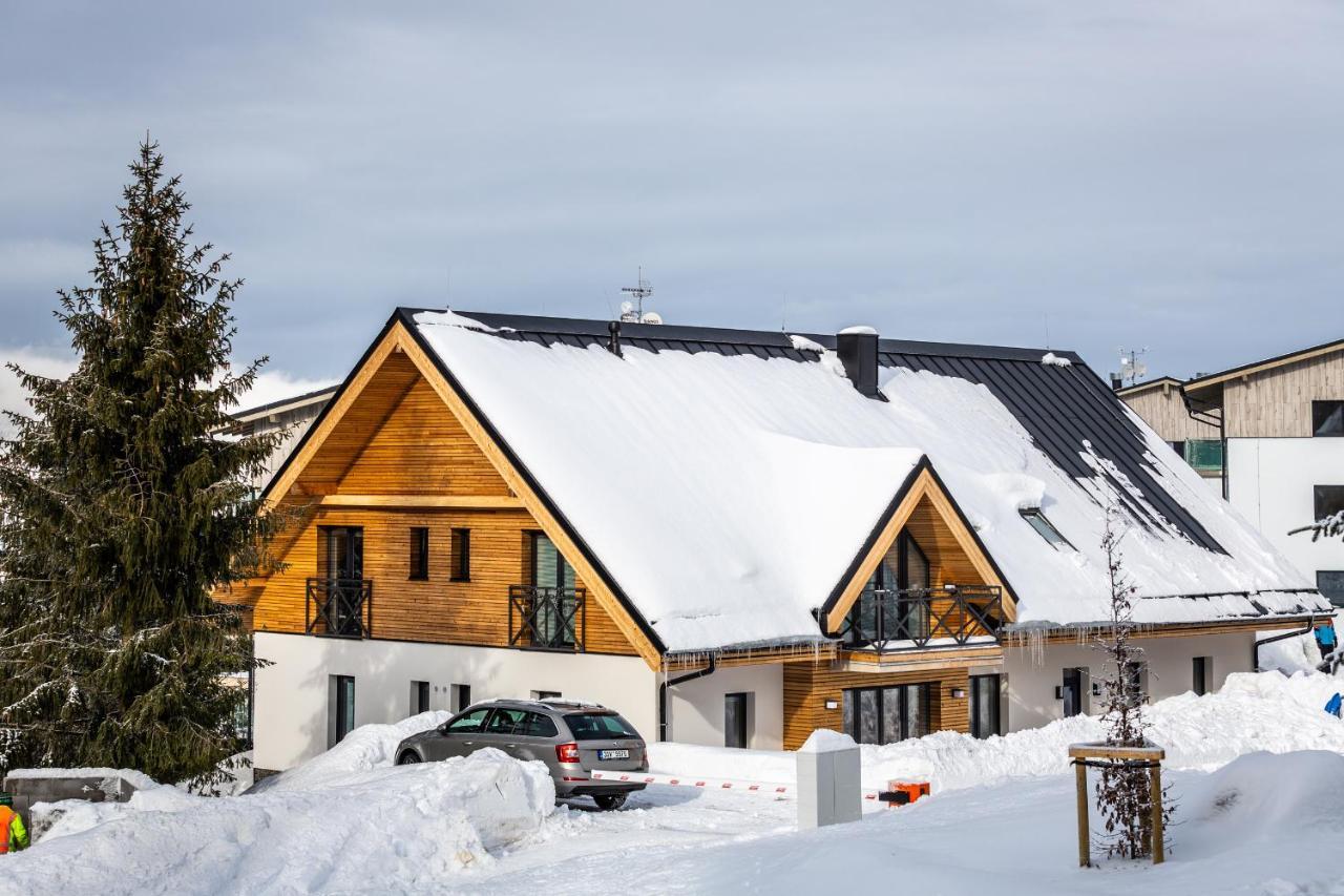 Ski Chalet Klinovec Loucna pod Klinovcem Ngoại thất bức ảnh