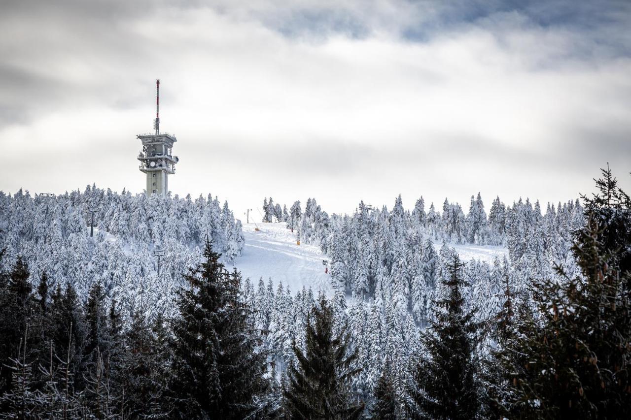 Ski Chalet Klinovec Loucna pod Klinovcem Ngoại thất bức ảnh