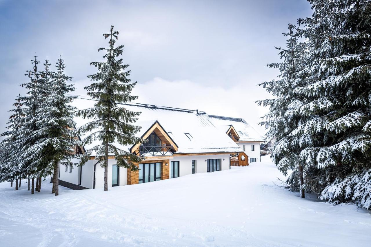 Ski Chalet Klinovec Loucna pod Klinovcem Ngoại thất bức ảnh