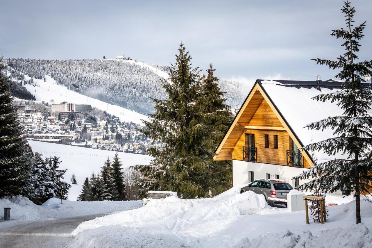 Ski Chalet Klinovec Loucna pod Klinovcem Ngoại thất bức ảnh