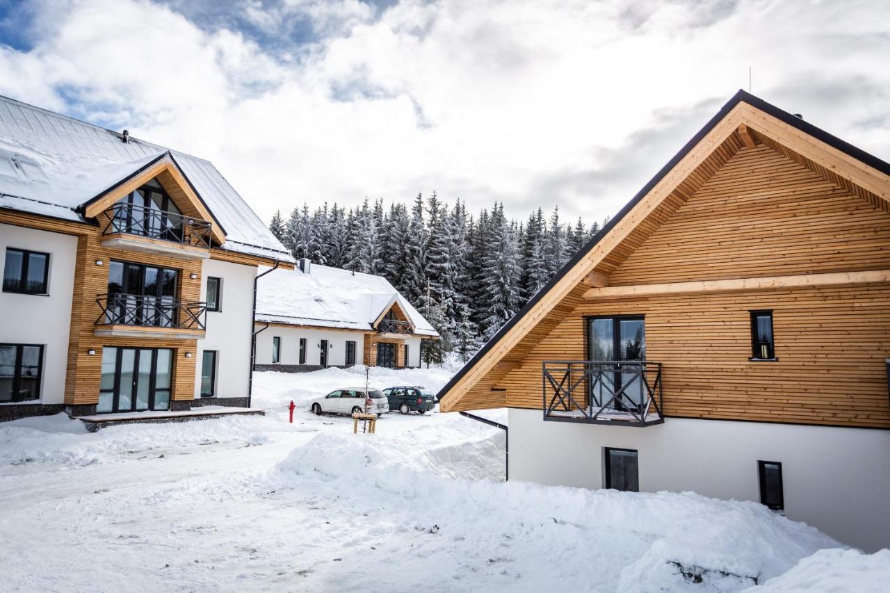 Ski Chalet Klinovec Loucna pod Klinovcem Ngoại thất bức ảnh
