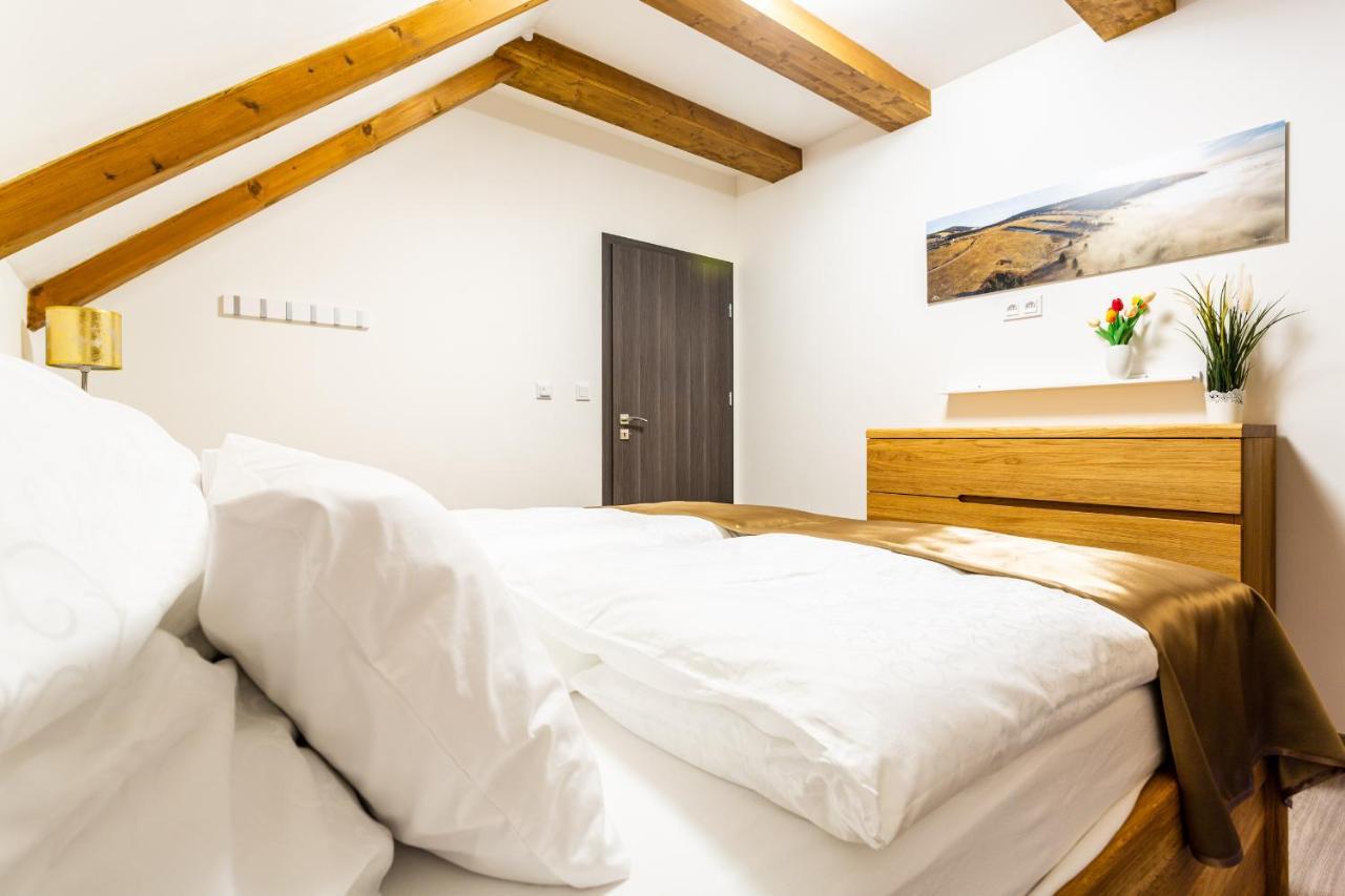 Ski Chalet Klinovec Loucna pod Klinovcem Ngoại thất bức ảnh